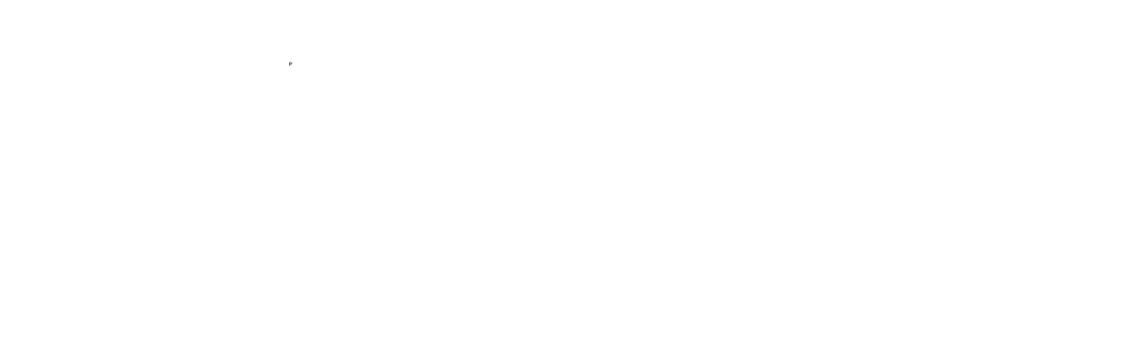BIS Consultants Logo